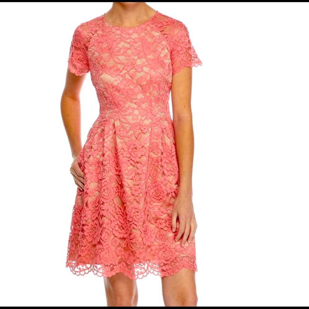 Vince Camuto Women's Lace Fit and Flare Dress